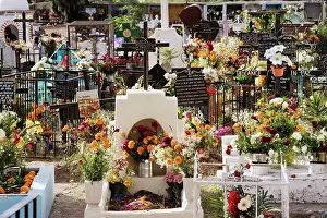 Occasion Prints: Cemetery Decorated for Day of the Dead, San Miguel de Allende, Mexico