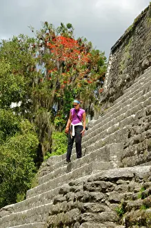 Traveller Prints: Central America, Guatemala, Petan jungle