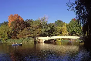 New York State Prints: Central Park, The Lake, Manhattan, New York