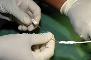 Sudan Prints: Central Venous Catheter Insertion