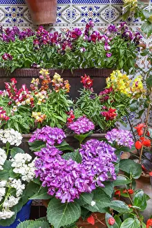 Courtyard Prints: Centro District, Cordoba, Andalusia, Spain. Potted plants with colorful flowers