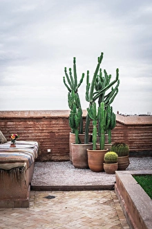 Terrace Prints: Ceramic pots with green cactuses and weathered sofa located on old terrace against cloudy sky