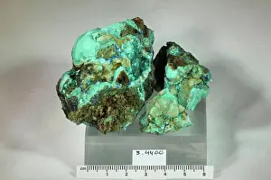 Mineral Prints: Chalcophyllite. minerals. South America; Chile