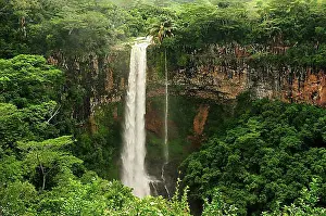 Natural Preserve Prints: Chamarel waterfall, Chamarel, Mauritius, Africa