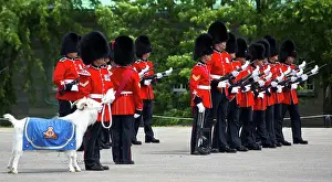 Ceremony Prints: Changing of the Guard of the Royal 22nd Regiment with the goat mascot in the Citadel