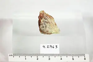 Mineral Prints: Chapmanite. minerals. Europe; France; Auvergne Province; Haute-Loire Department; Massiac; Mine de la Bessade