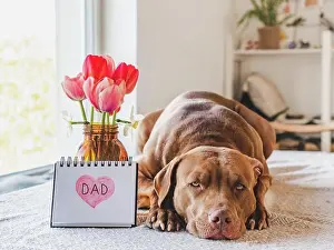 Father Prints: Charming, loveable brown puppy and notepad with the word DAD