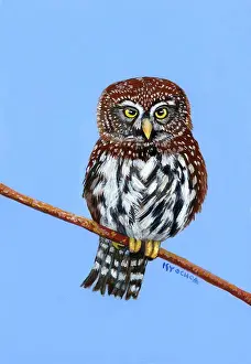 Composition Prints: Charming owl painting by Isy Ochoa captures the essence of nature's wisdom and beauty