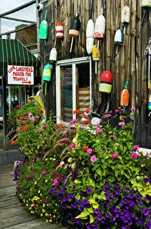 Dinner Prints: Charming and picturesque Bar Harbor on Mt. Desert Island Maine