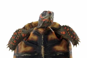 Slow Prints: Cherry head red-footed tortoises isolated on white