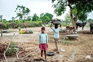 Dried Prints: Children working on a family farm with tethered Murrah buffalo (Bubalus bubalis) in the background; Nagli Village Noida