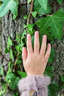Sense Prints: Child's hand touching a tree