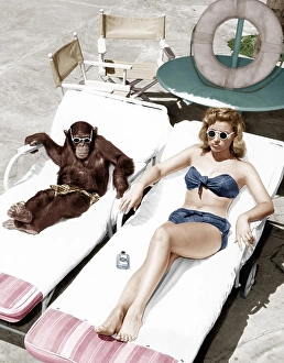 Vacationing Prints: Chimpanzee and a woman sunbathing (All persons depicted are not longer living and no estate exists)