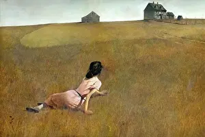 christinas world andrew wyeth 1948 Trending Item 1