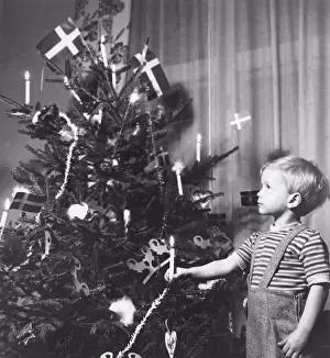 Swedish Prints: Christmas in the 1940s. A boy is standing by the decorated christmas tree. Sweden 1940s