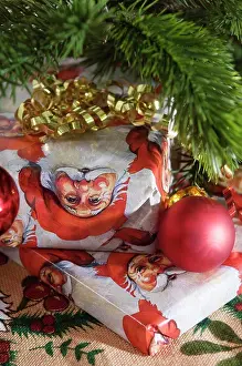 Celebrations Prints: Christmas gifts under christmas tree