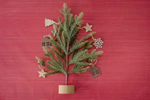 Colored Background Prints: Christmas tree flat lay with red background