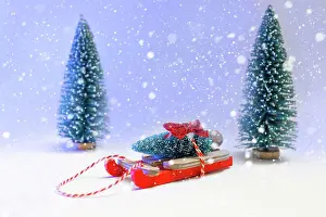 Purchase Prints: Christmas tree for New Year slays present