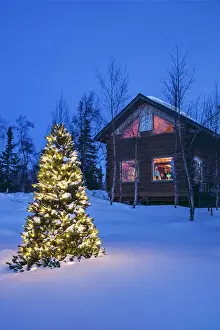 Lighted Prints: A Christmas tree with white lights outside a remote cabin