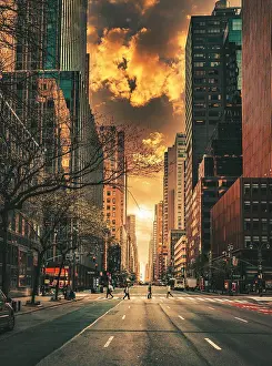 Skyscraper Prints: city New York sunset sky clouds buildings street sun people urban tree