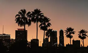 Marina Prints: city skyline at sunset miami palms
