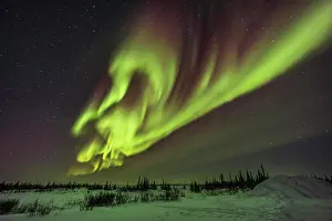Luminous Prints: A classic complex of auroral curtains in the northeast sky