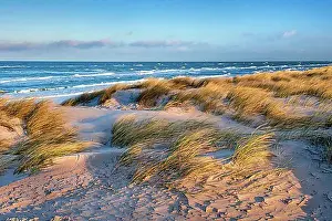 Pure Prints: Clear winter day at the Baltic Sea