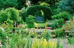 Hedge Prints: Clipped hedging arch in large country garden in summer