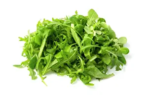 Mixed Prints: Close up of a garden salad