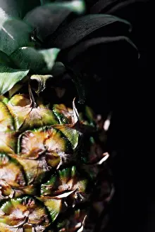 Back Ground Prints: Close up macro photo of a pineapple