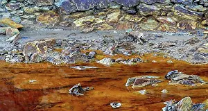 Body Of Water Prints: Close up of orange red river with iron ore and copper ore deposits in the Rio Tinto mining area
