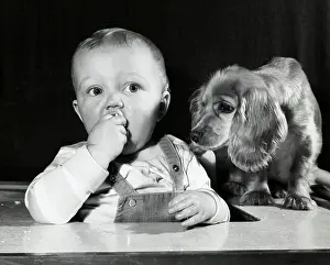 Overalls Prints: Close-up of a baby boy with a dog