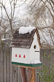 Pole Prints: Close-up of a birdhouse on a post
