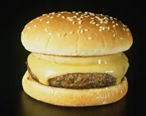 Cheese Prints: Close-up of a cheeseburger