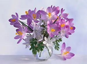Decorating Prints: Close-up of colorful flower arrangement