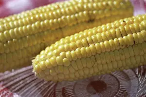 Roasted Prints: Close-up of corn on the cob