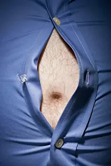 Model Release Prints: Close-up of fat stomach bursting through shirt