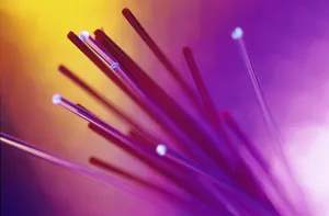 Electronics Prints: Close-up of fiber optic cables