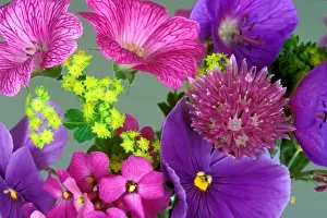 Flower Head Prints: Close-up of flowers