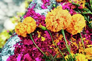 Occasion Prints: Close-up of Flowers and Dyed Wood Shavings on Grave, San Miguel de Allende, Mexico