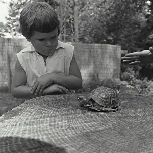 Curiosity Prints: Close-up of a girl looking at a tortoise