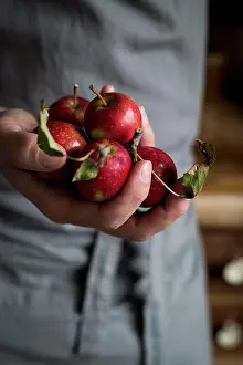 Moody Prints: Close-up of man's hand holding apples