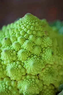 Green Color Prints: Close-up of Romanesco cauliflower