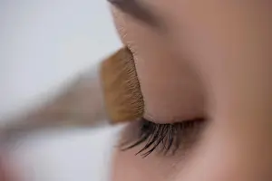 Eyebrows Prints: Close up of young woman eye with eyeshadow brush