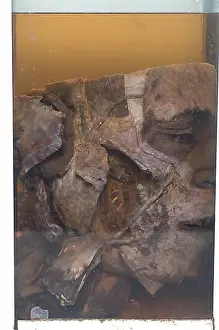 Closing Prints: Closeup of a dead man's head preserved in a glass jar
