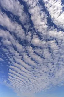 Cloud Formations Prints: Cloud formations (Altocumulus undulatus), Bavaria, Germany, Europe