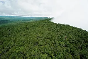 Dense Prints: Clouds form along the slanted northern ridge of the Maliau Basin