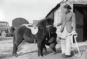 1950 Prints: Cloudy Gets Ready For Prince Charles