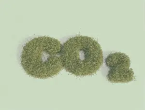 Word Prints: CO2, illustration