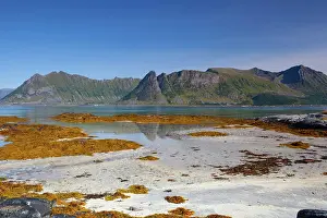 Norway Prints: On the coast in Gimsoysand, Norway
